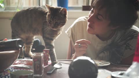 Cat standing on a table, want to eat.