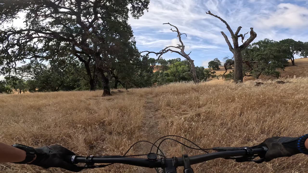 [MTB] Henry Coe State Park, Serpentine Trail (Gilroy, CA)