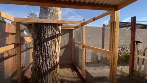 Chicken Coop & Patio