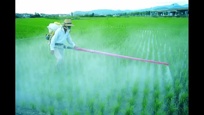 Blind In Both Eye's And Deaf In Both Ears