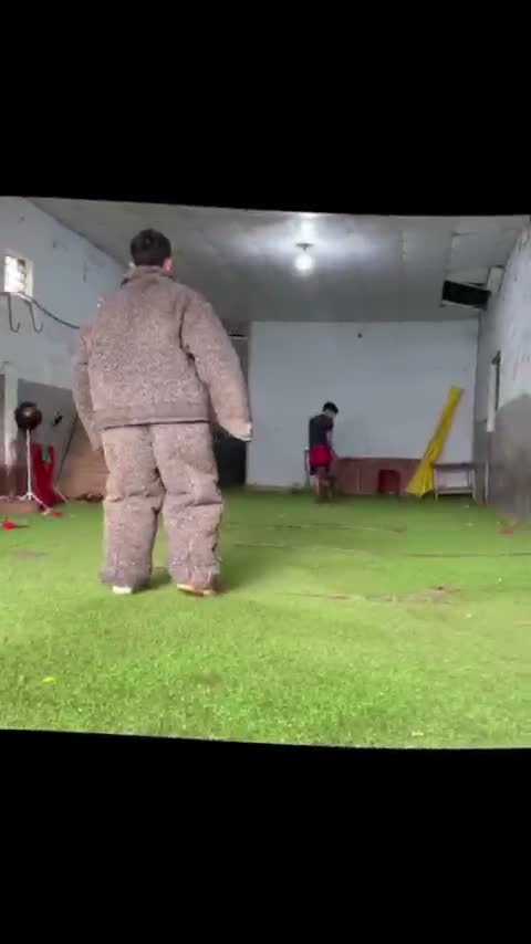 pitbull is very dangerous