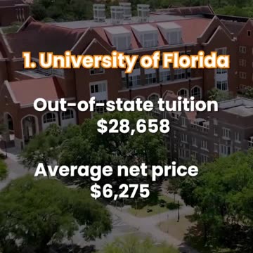 🌟 Find out about “New Ivies”! 🌟