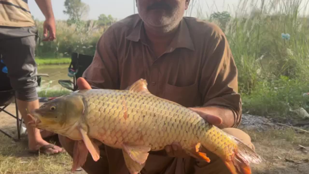Gulfam China Fishing By Talib Hussain Sb | Sailkot | 29/09/23