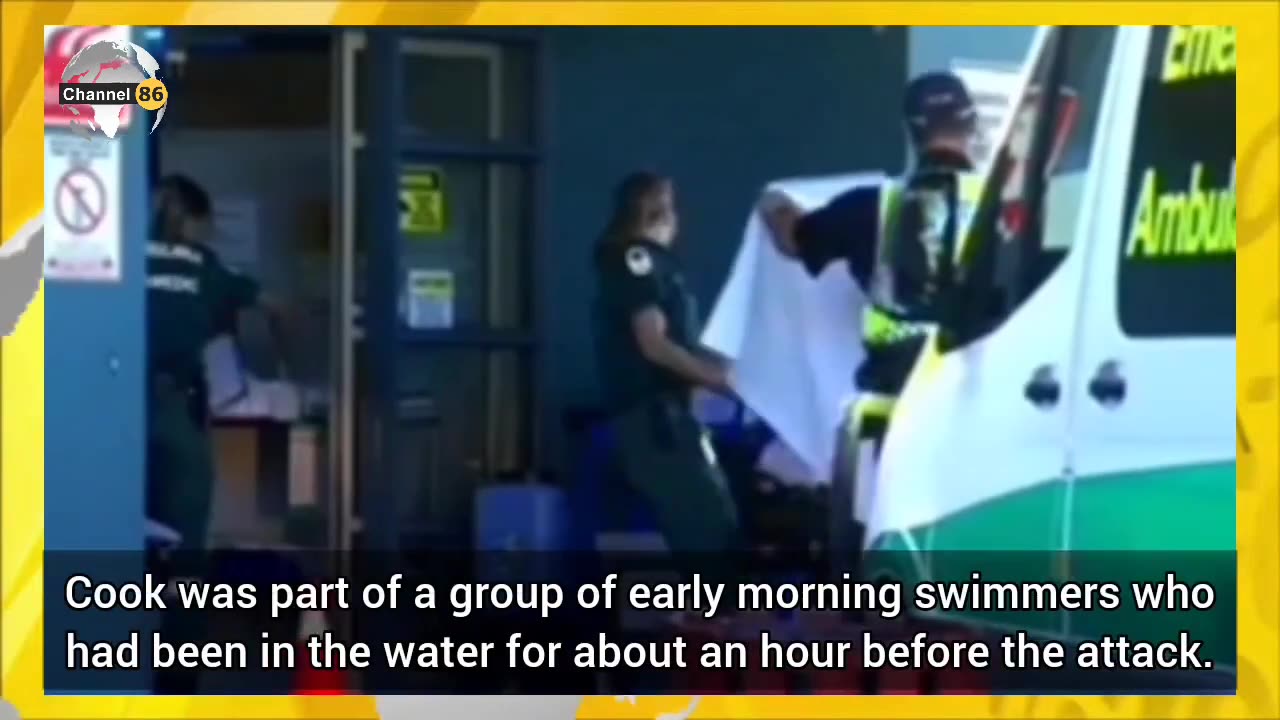 Woman seriously injured in shark attack during early morning swim - Channel 86 Australia