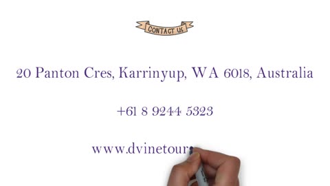 d'Vine Wine Tours