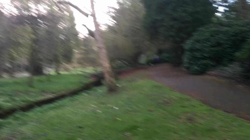 Beautiful view of Bournemouth's central gardens and town center.