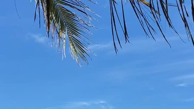 Calm Beach View