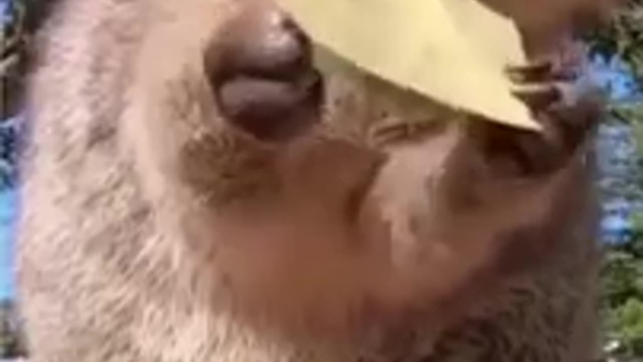 funny and cute