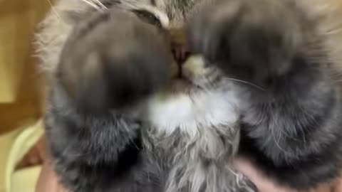 So cute 😍