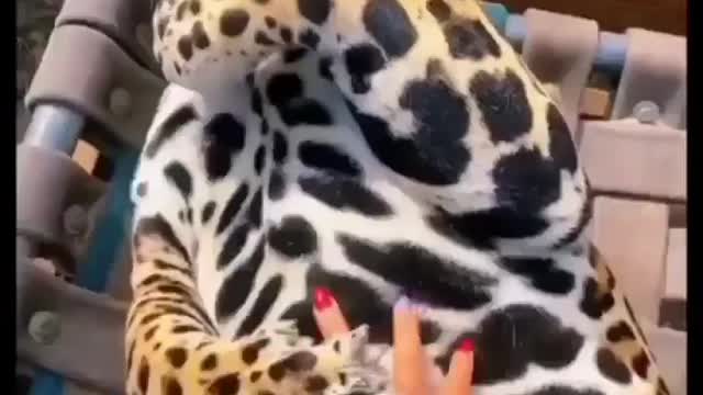 Que coragem, mulher