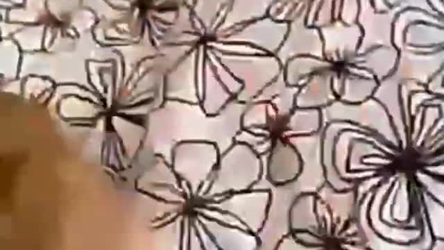 Cute cat Lover #shorts #cat #catlover #cat #catvideos #catlovers