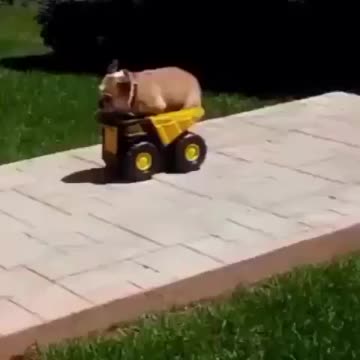Bulldog construction....he gets the job done