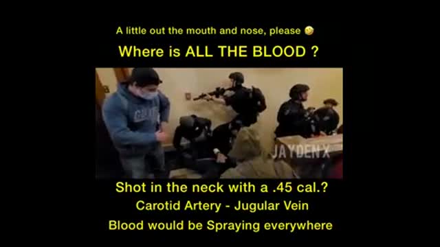 Ashli Babbit ALIVE and WELL - FALSE FLAG Shooting