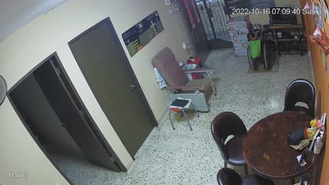 hallfront midnight 20221016