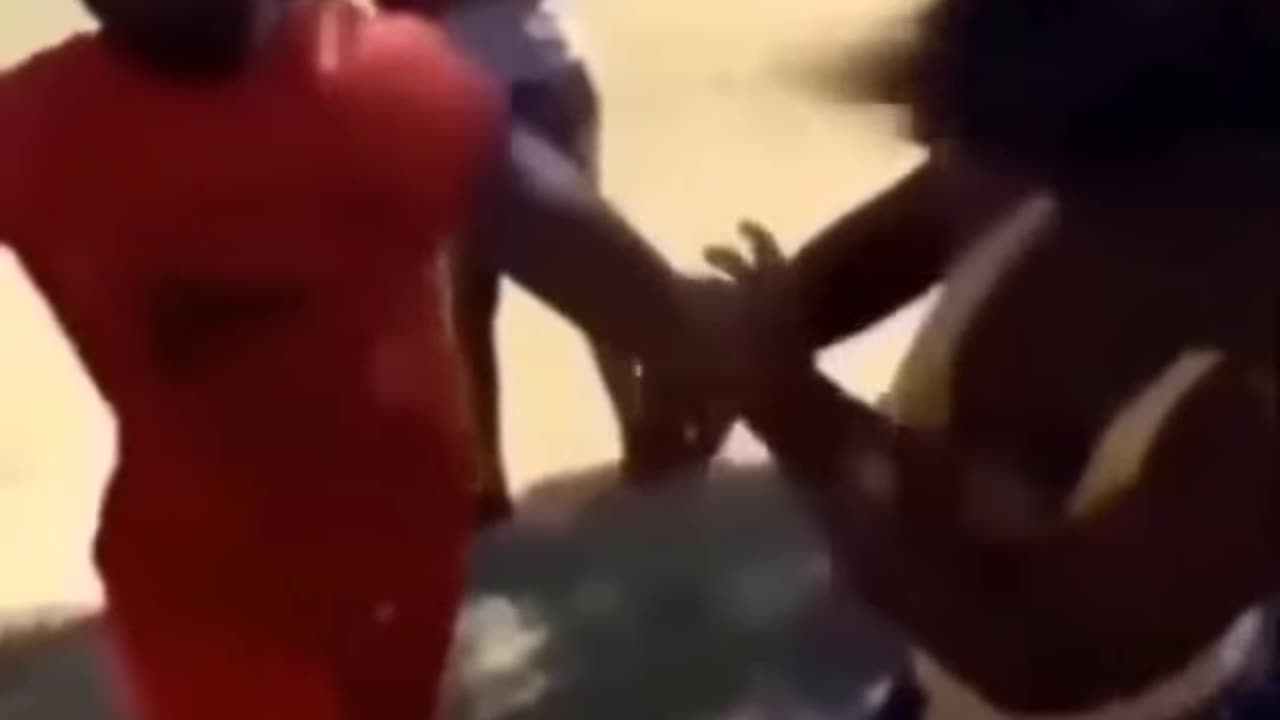 Best Street Fight Compilation 2024 #92