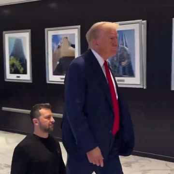 Trump Meets with Zelenskyy