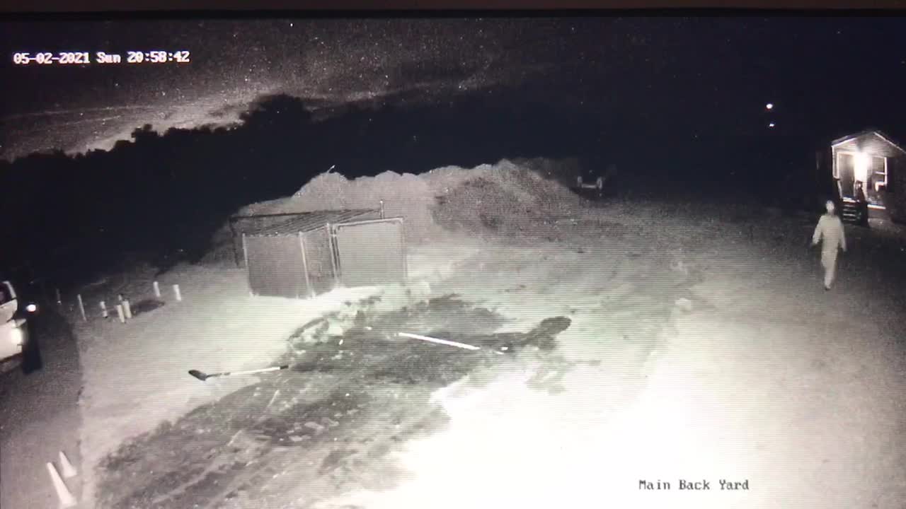 Sunday June 02, 2021 - #30