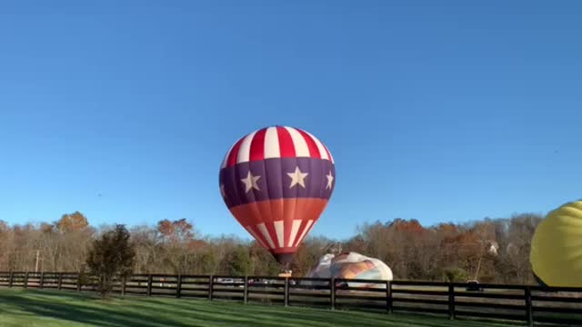 Hot Air Balloons & Red, White and Blue