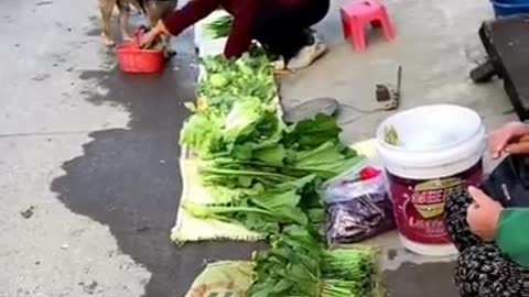 Dog ne vegetables shopping kiya