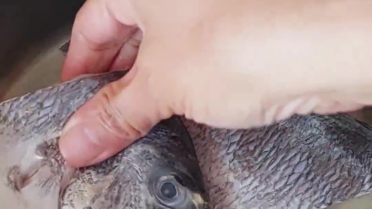Fish Paksiw. Lutong Pinoy. Easy Delicious Filipino Recipe. 🐟🐠 #fish #food #recipe #howto #food