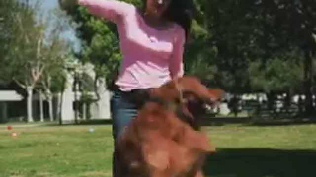 The Dog is too smart there owner is to good
