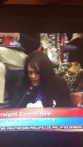 Michigan Election Fraud Hearing Testimony, 12/1/20 2