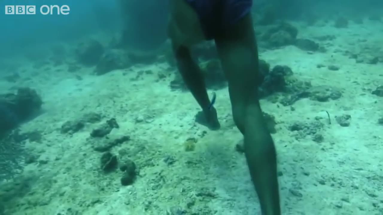 Superhuman Spearfisherman (Badjao tribe) - BBC