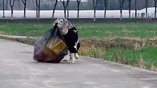 It's super comfortable to bury your face in it