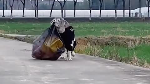 It's super comfortable to bury your face in it