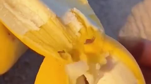 Omg😱