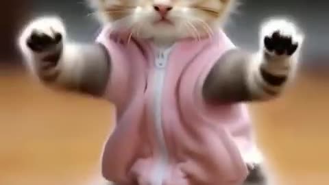 so funny cat videos 🤣📷 #cat #catlover #funnycat #shortvideo #shortsfeed #shorts #shortsvideo