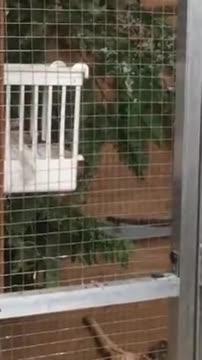 Major putter nest maken