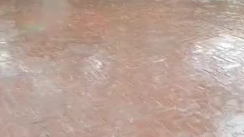 Raining ⛈️