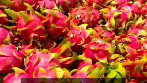 Benefits of dragon fruit