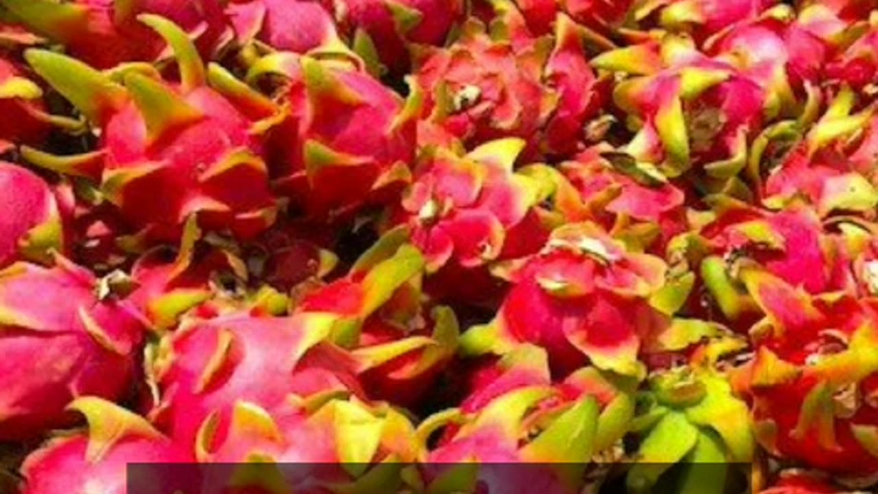 Benefits of dragon fruit