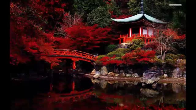 Relaxing Music For Meditation Healing, Soothing, Relaxing, Studying Japanese Ambient Music