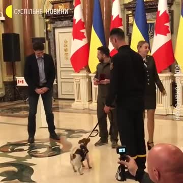 Patron Gets an Award and a Treat