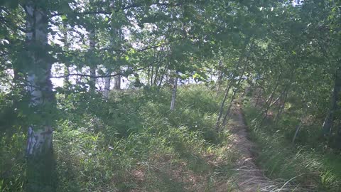 Milloin joudumme lähtemään - Indy Angel