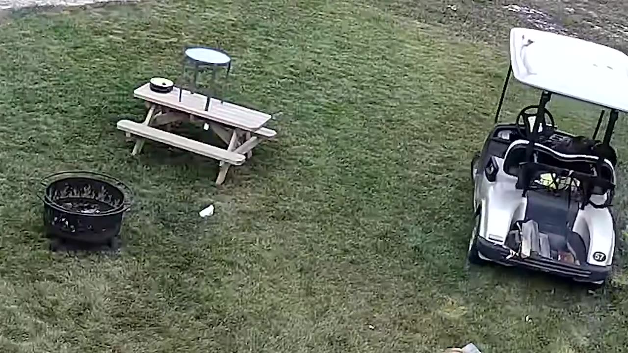 Dog crashes golf cart into truck😭😭