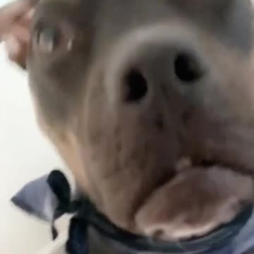 who me? couldn’t be!