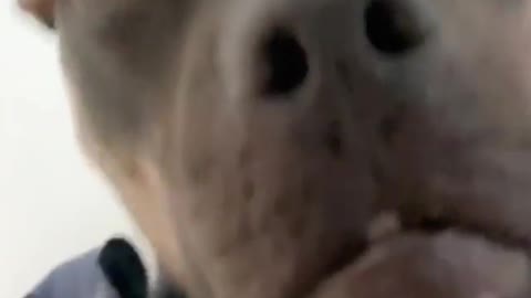 who me? couldn’t be!