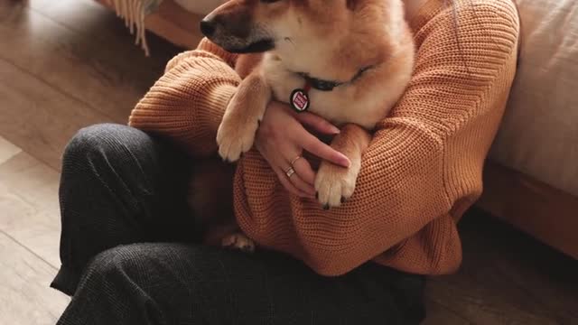 Woman Holding Dog On Arms.