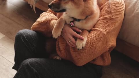 Woman Holding Dog On Arms.