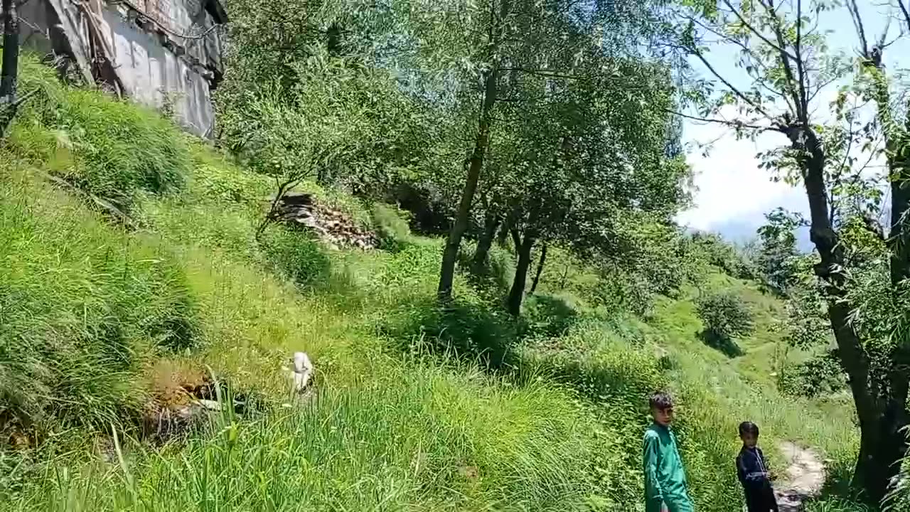 leswa village neelum valley azad kashmir full detail.