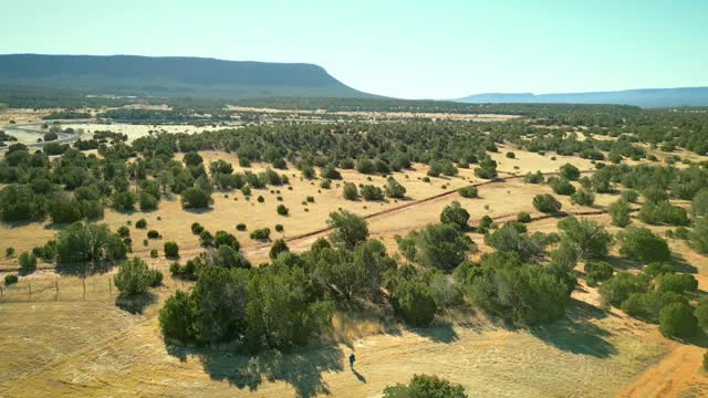 Walking my shepsky while testing active track on the DJI drone in New Mexico.