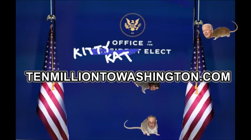 Yet Another Fantastically Important Message from the Kitty Kat Elect