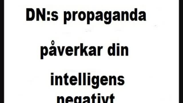 DN skyddar islamister - blir utskällda & hånade