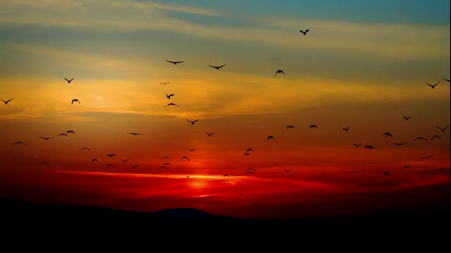 Relaxing Guitar Music: Deep Sleep Music,Stress Relief Music,Calming Music,Soft Music