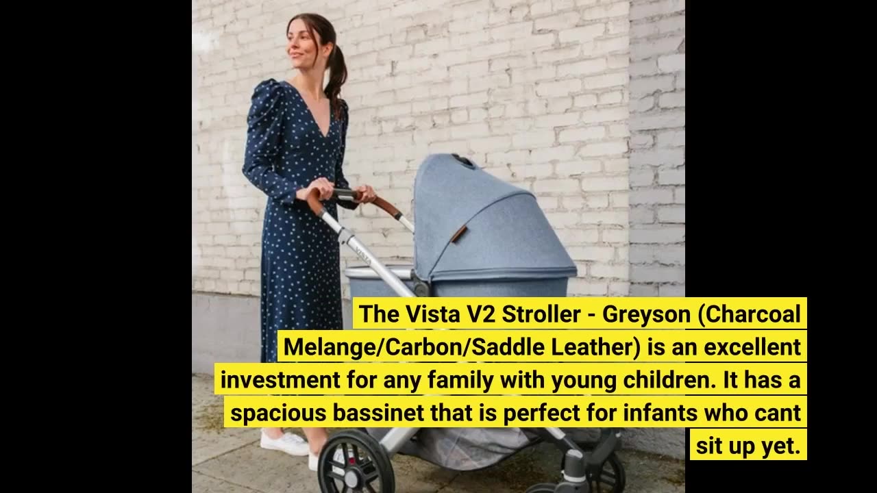 Skim Reviews: Vista V2 Stroller - Greyson (Charcoal Melange/Carbon/Saddle Leather)