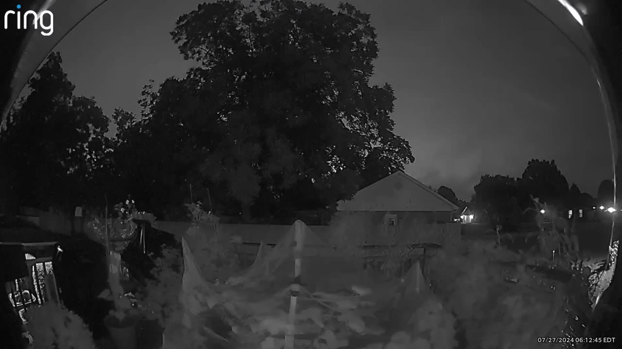 Strange activity V